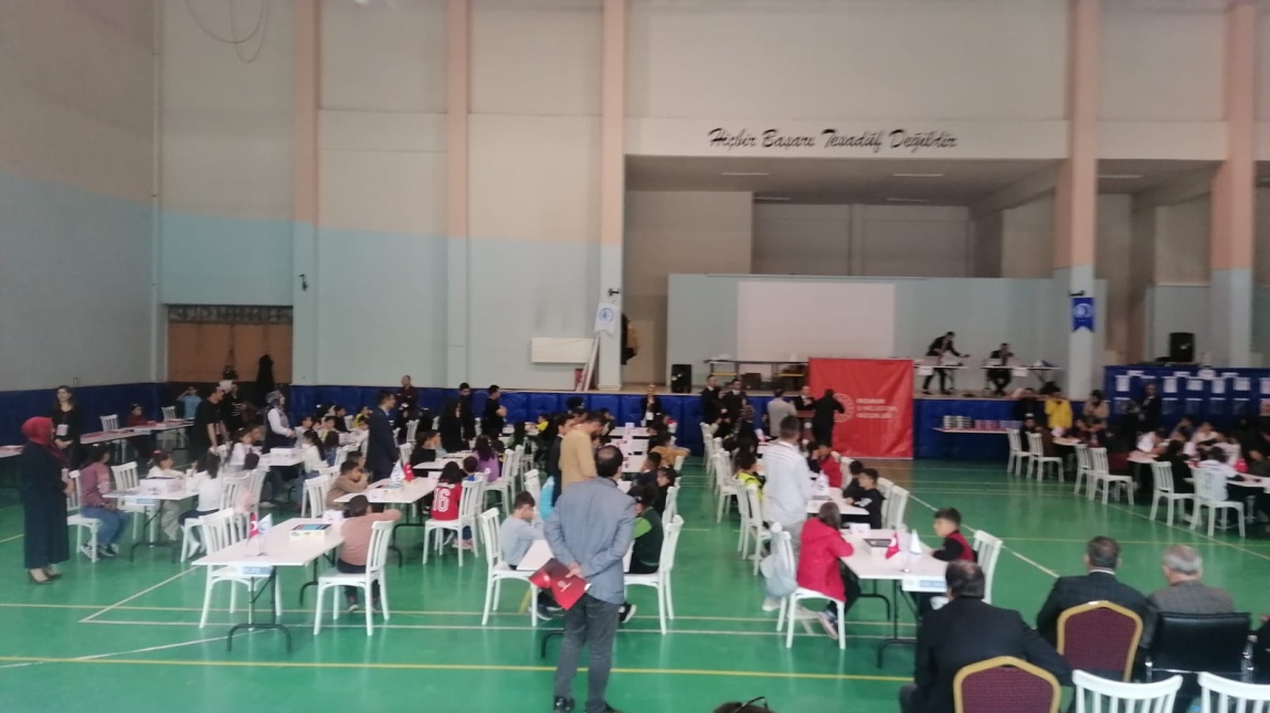 AKIL VE ZEKA OYUNLARI TURNUVASI